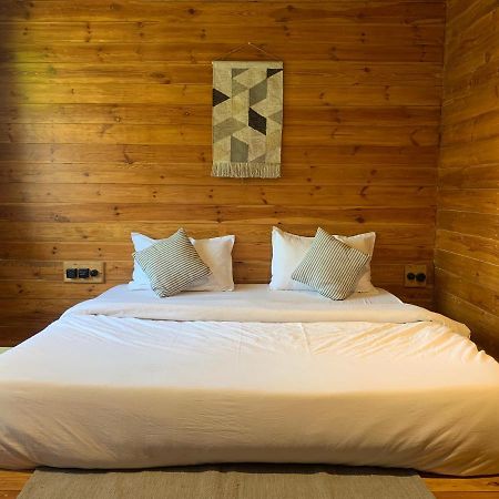 Sugar Cube Retreat Hostel Shimla Exterior photo